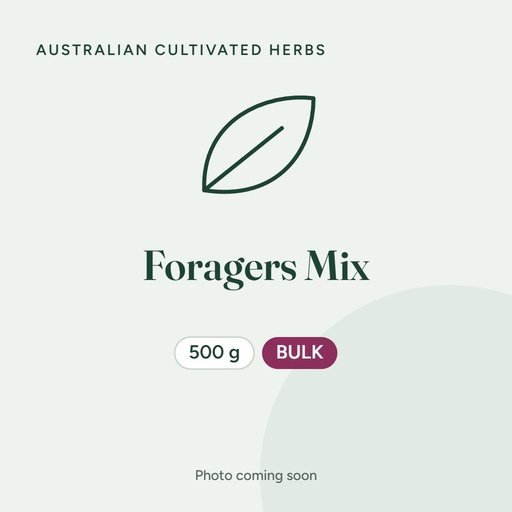 [PHFM500] Foragers Mix - 500g