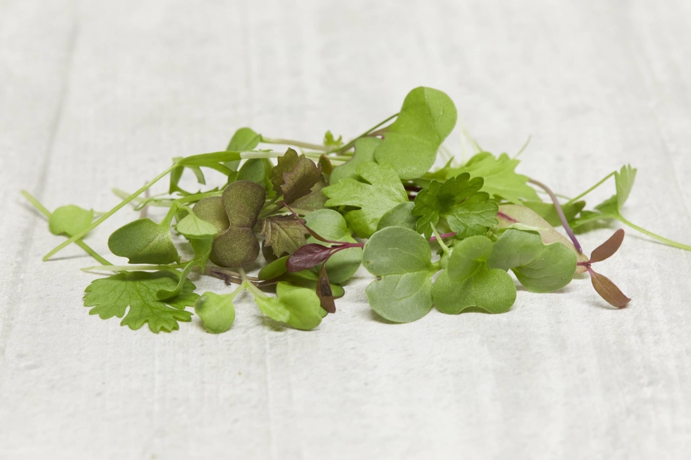 Micro Nutrient Mix - 500g