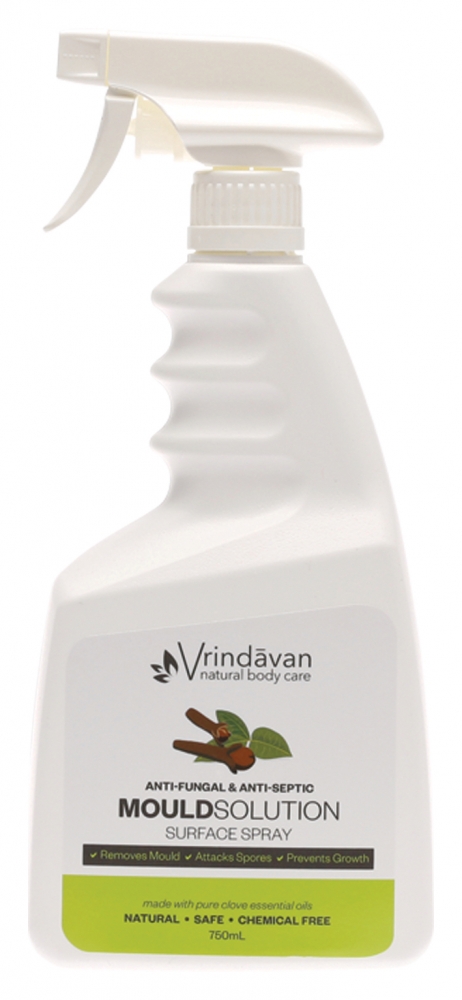 [VMS01] Mould Solution Spray - 750 ML