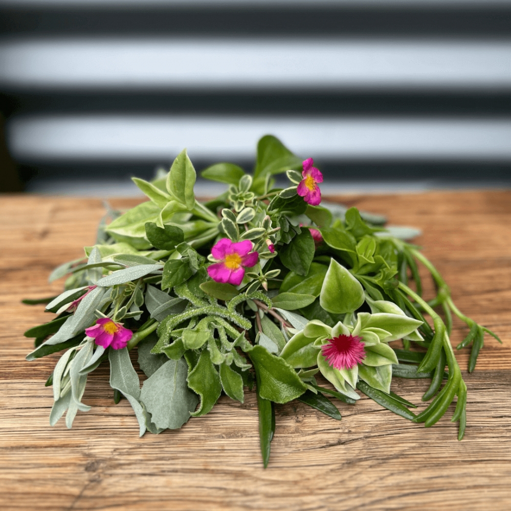 [PHFM] Foragers Mix - 100g/punnets