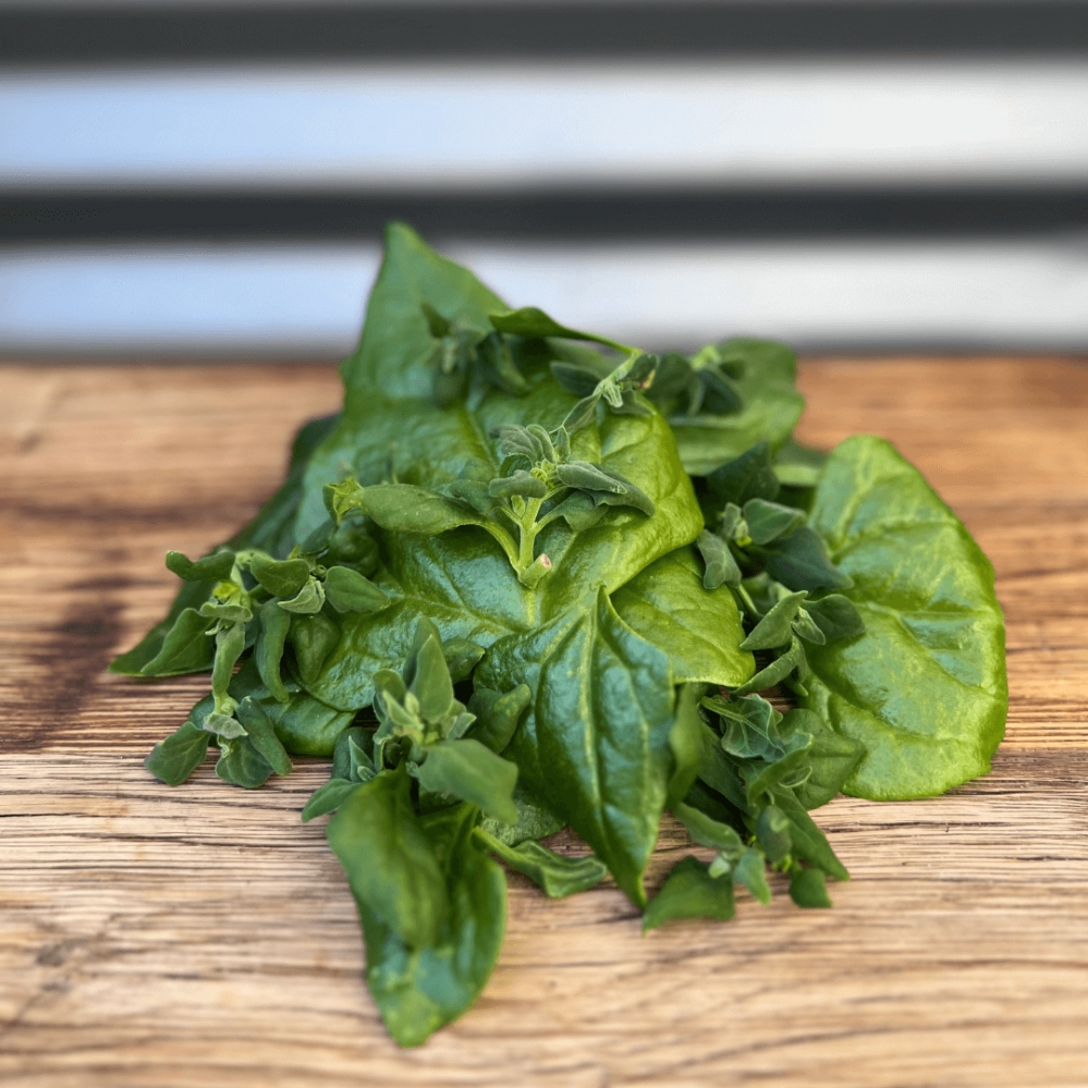 Warrigal Greens Tips - 35g/punnets