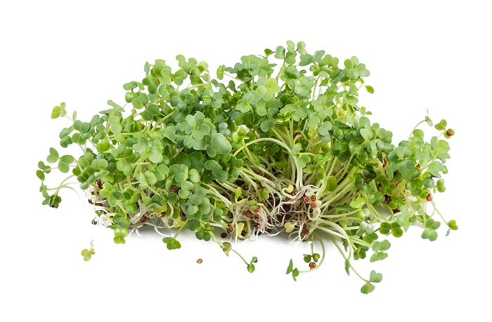 [Ene-50Broc] Organic Broccoli Sprouts 50g