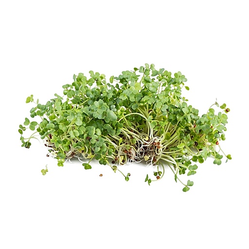 [Ene-50Broc] Organic Broccoli Sprouts 50g