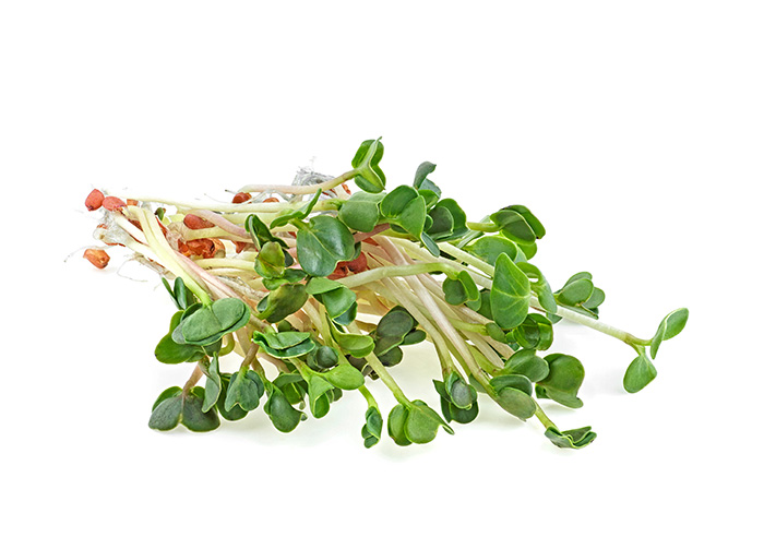 [Ene-50Raddish] Organic Radish Sprouts 50g