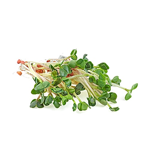 [Ene-50Raddish] Organic Radish Sprouts 50g