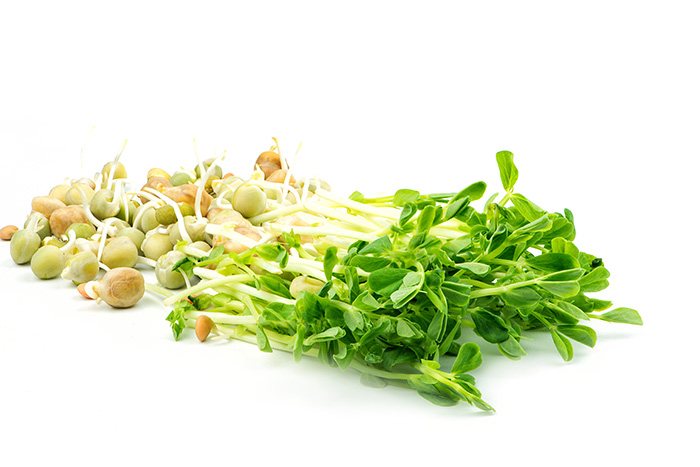 [Ene-PeaTend80] Organic Snowpea Sprouts 100g
