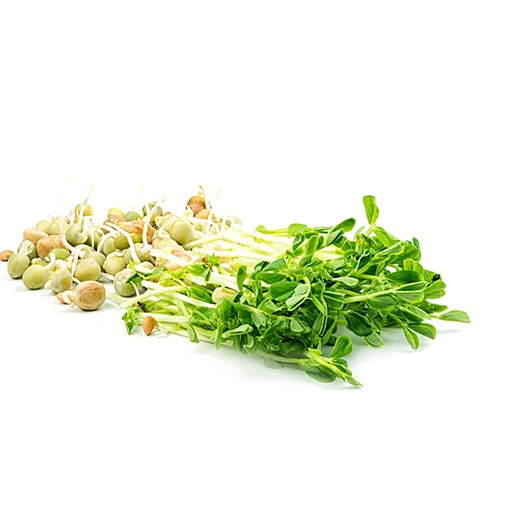 [Ene-PeaTend80] Organic Snowpea Sprouts 100g