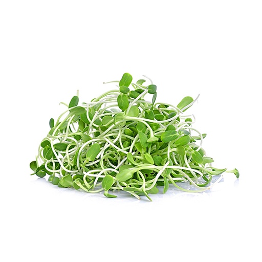 [Ene-100Sunflower] Organic SunFlower Sprouts 100g