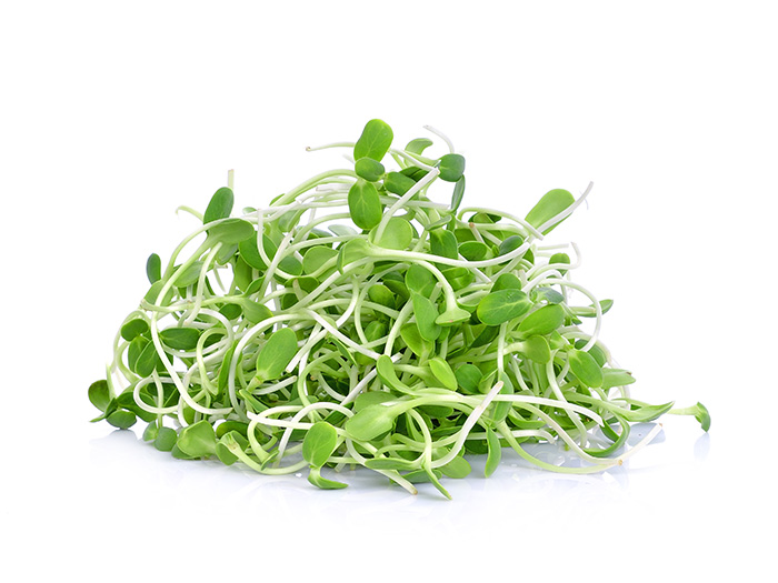 [Ene-500Sunflower] Organic Sunflower Sprouts 500g