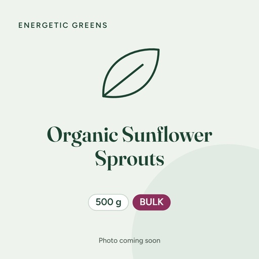 [Ene-500Sunflower] Organic Sunflower Sprouts 500g