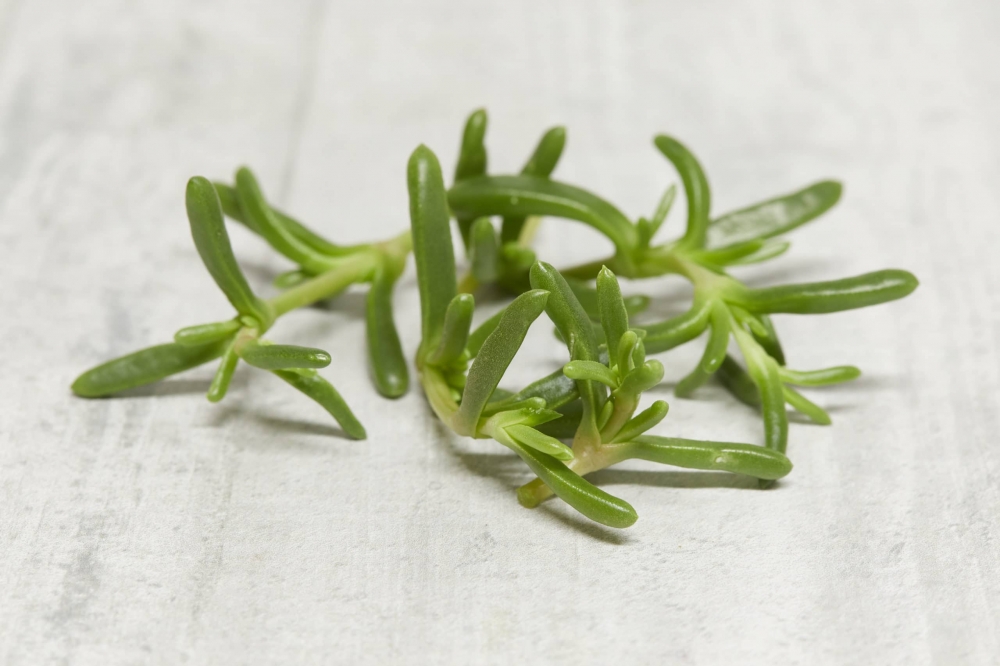 Karkalla - 100g/punnets