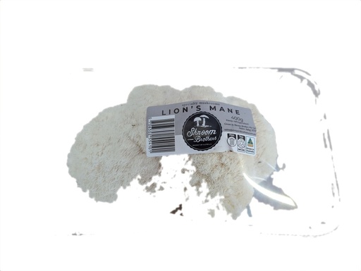 [SBLM400g] Organic Lions Mane Mushrooms 400g
