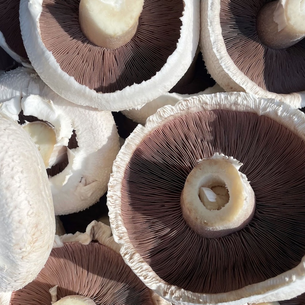 [RM-Flats] Mushrooms Flats - 3kg Box