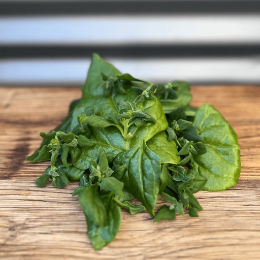 [PHWG] Warrigal Greens Tips - 35g/punnets