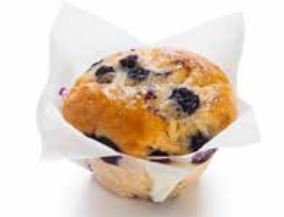 [EdMUFF05] Muffins - Blueberry x 6