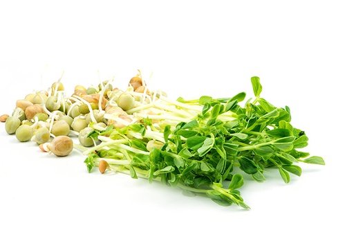 [Ene-PeaTend80] Organic Snowpea Sprouts 100g